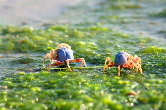 �������s�����V������������