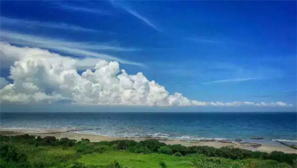 ���ލu�������V������������