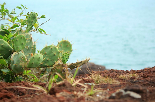 ���ލu���Σ��V������������