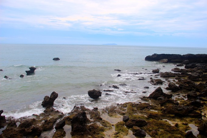 ���ލu�������V������������