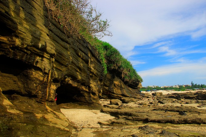 ���ލu�������V������������