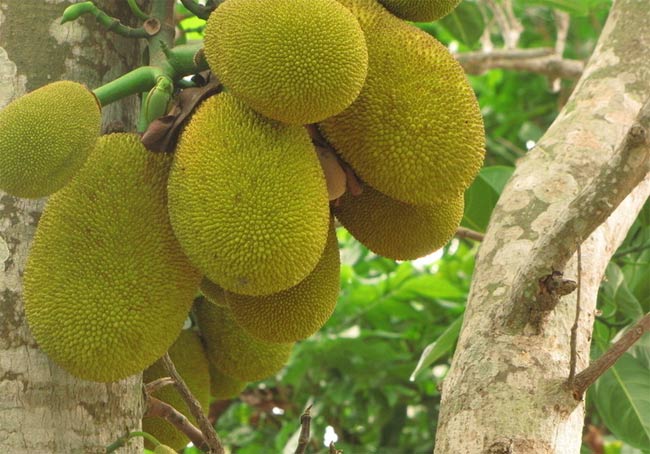 ���ލu�����}�����V������������