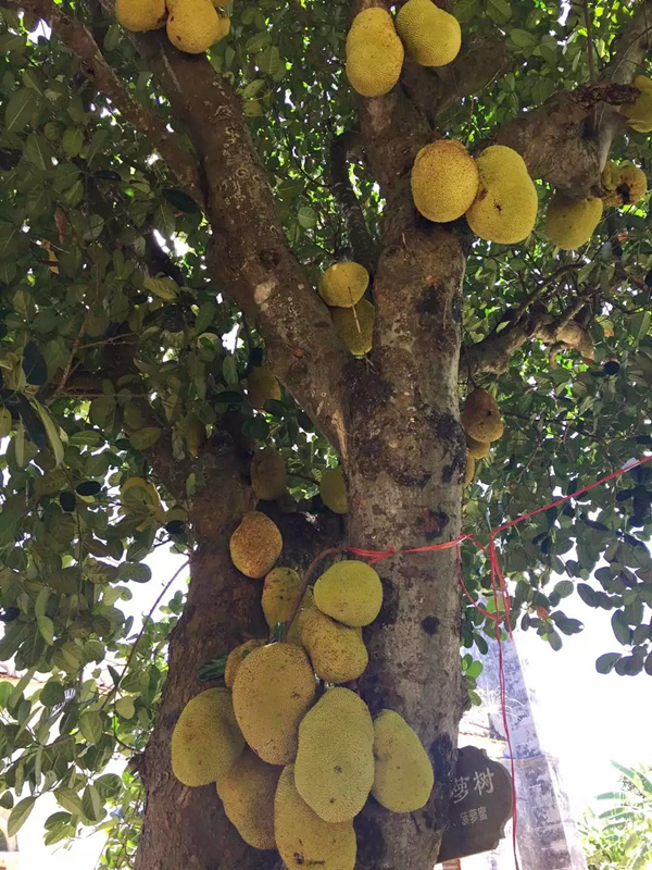 ���ލu�����}�����V������������