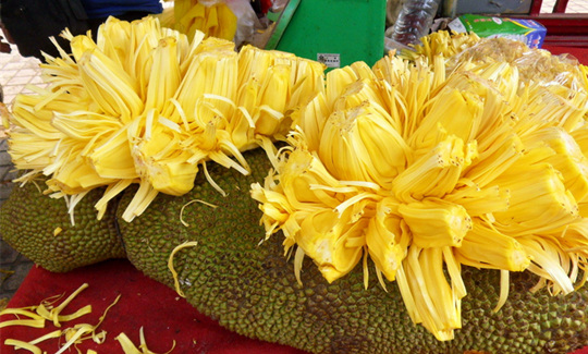 ���ލu�����}�����V������������