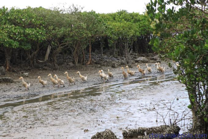 ���������������V������������