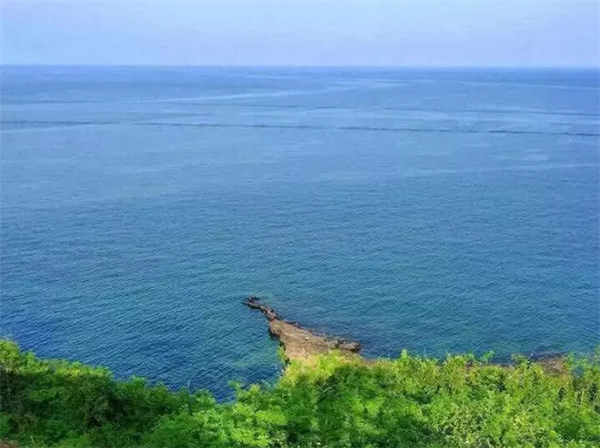 ���������ލu���V������������