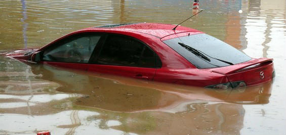 �������_�L���V������������