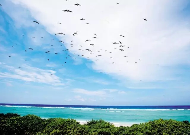 �u�Z�����ލu���V������������