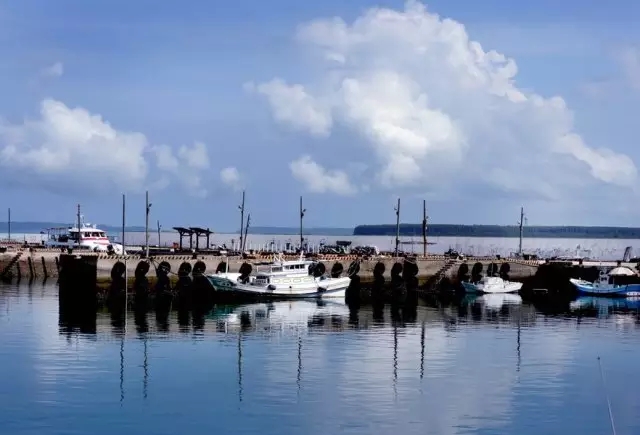 �u�Z�����ލu���V������������