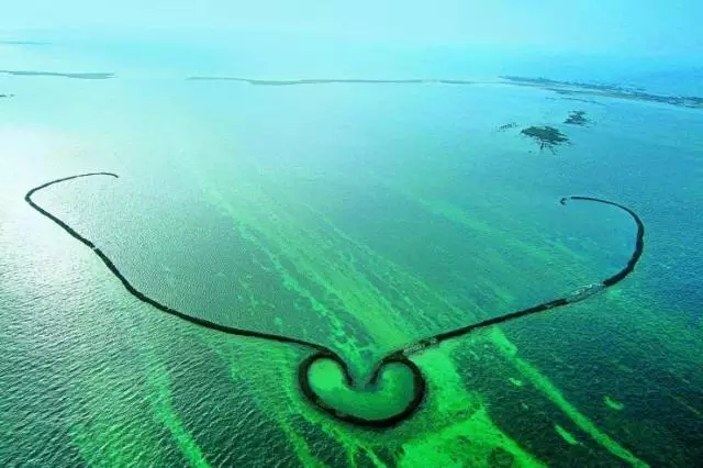 �u�Z�����ލu���V������������