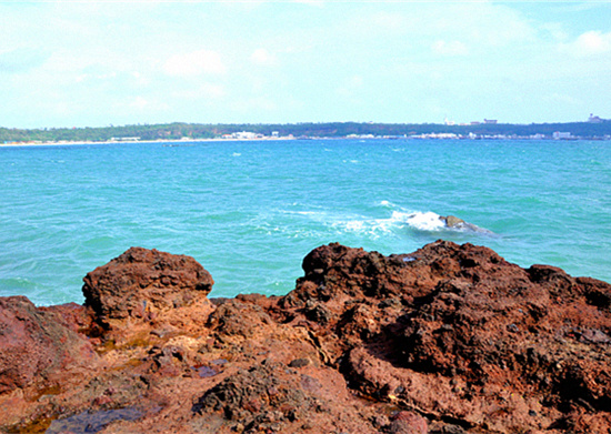 ���������ލu�������V������������