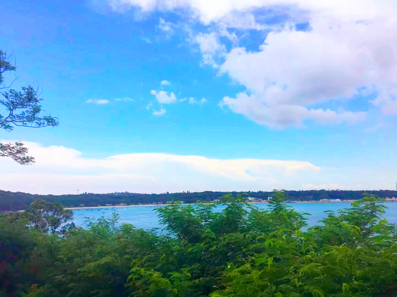 ���������ލu�������V������������