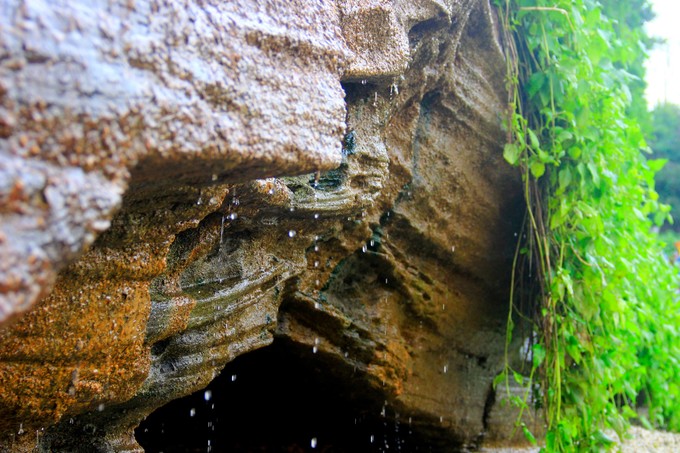 ���������ލu�������V������������