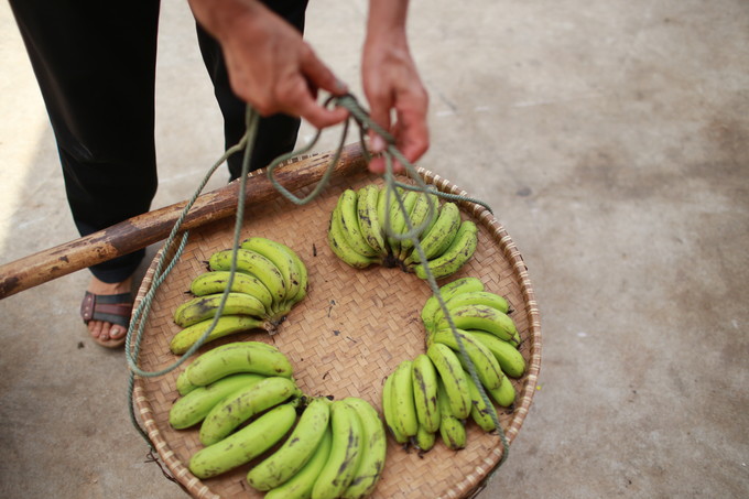 ���������ލu�������V������������