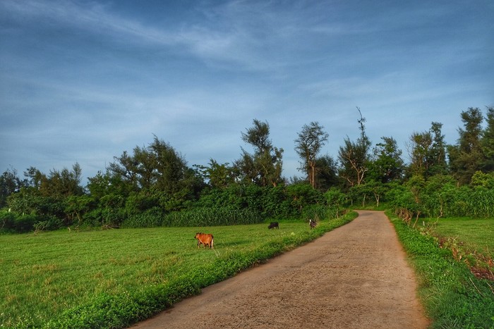 ���������ލu���Σ��V������������