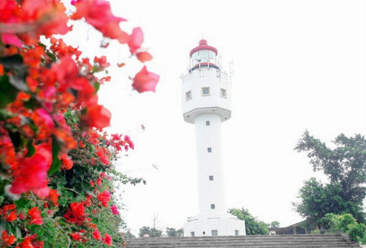 ���ލu�������V������������