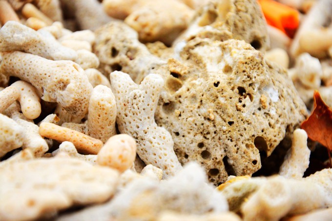 ���ލu�������V������������