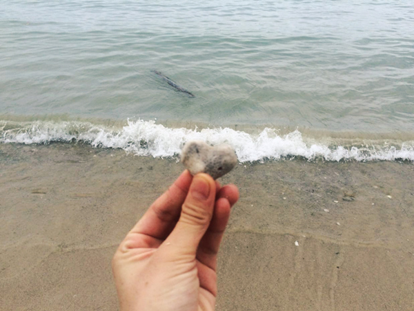 ���ލu���ι������V������������