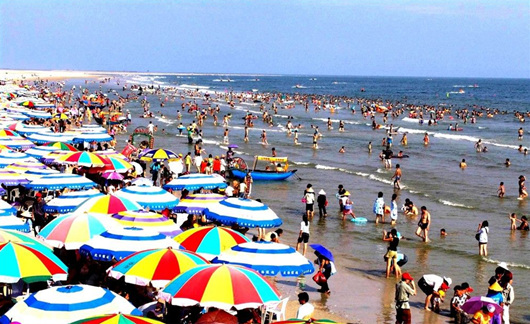 �����������V������������