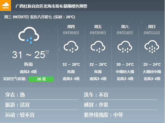 �V���������������������