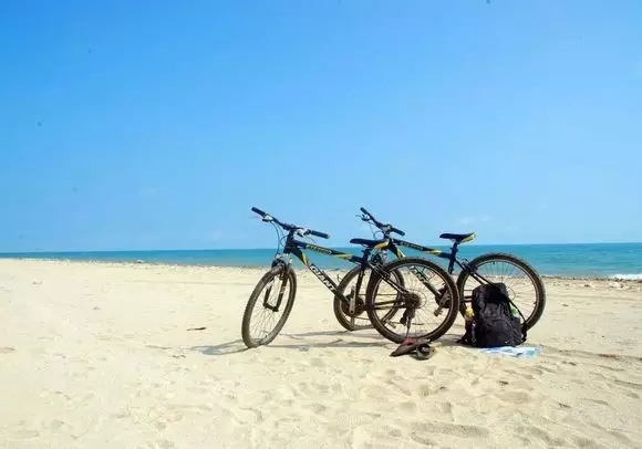 ���ލu���ι������V������������