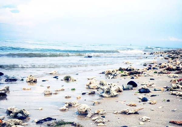 ���ލu���ι��������ލu�������V������������