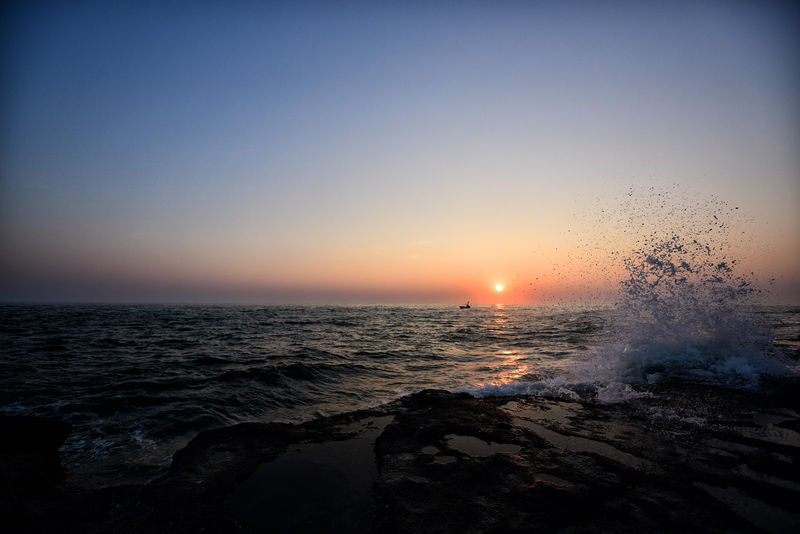 �V�����������������ލu