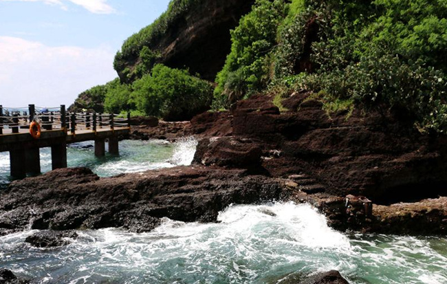 �V�����������������ލu����