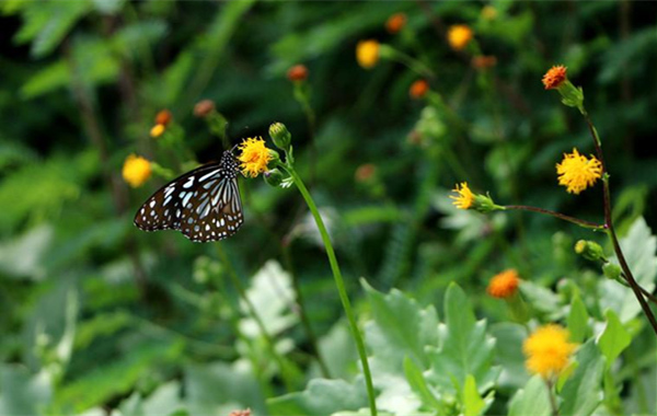 �V�����������������ލu����