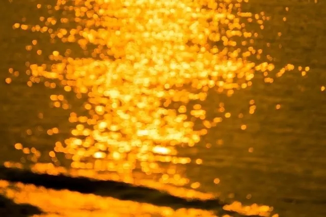 �V�����������������ލu���ι���