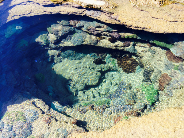 �V�����������磬���ލu���ι���