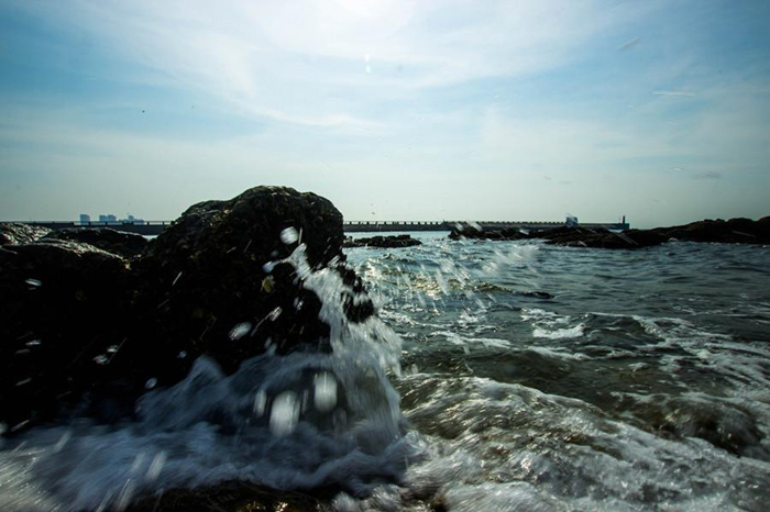 �V����������������������