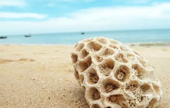 �V�����������������ލu����