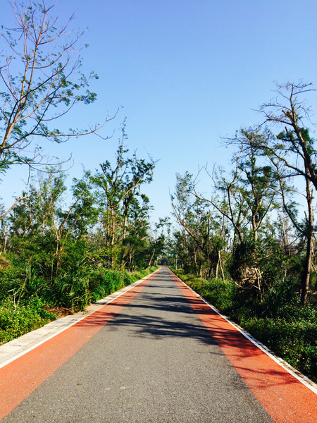 �V�����������������ލu���ι���