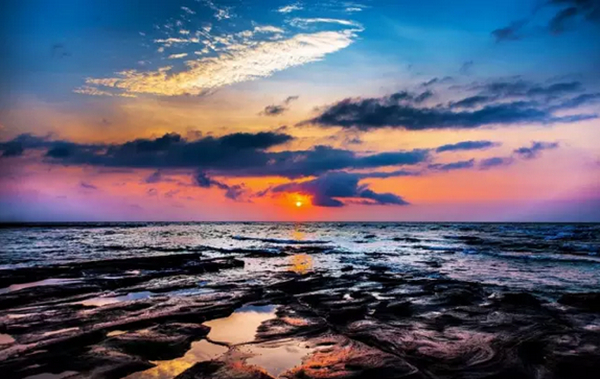 �V�����������������ލu���ι���