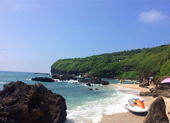 �V�����������������ލu����