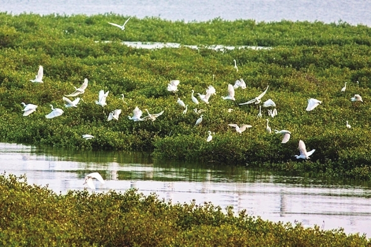 �V���������������t���֣���������