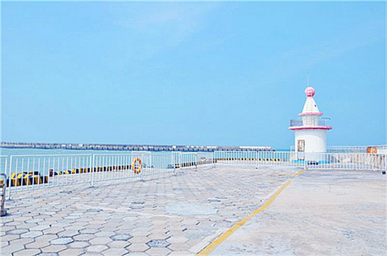 �V�����������������ލu����