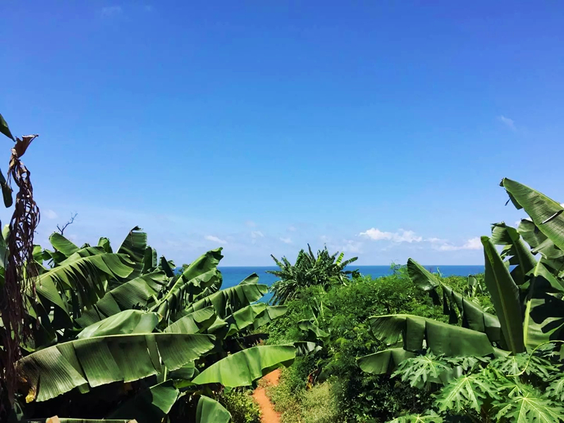 �V�����������������ލu����