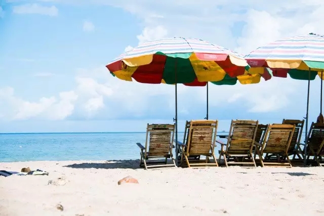 �V�����������������ލu����