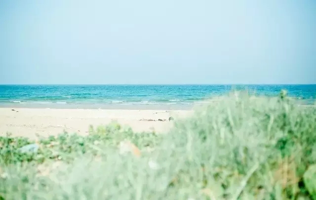 �V�����������磬���ލu