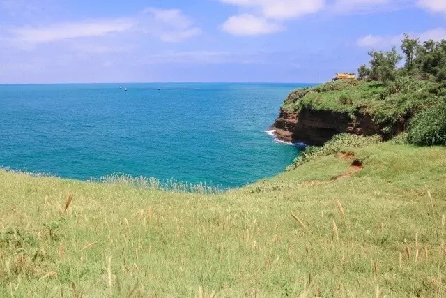 �V�����������������ލu