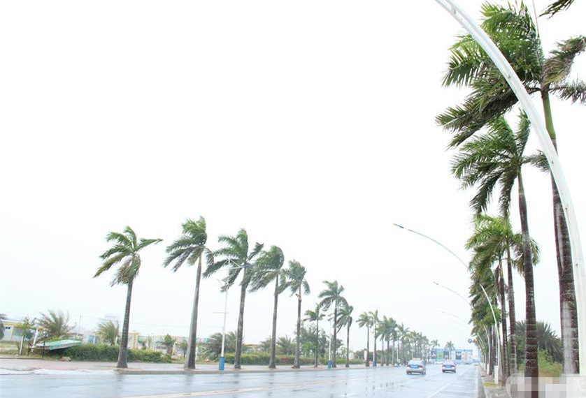 �V���������������_(t��i)�L(f��ng)