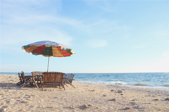 �V�����������������ލu����