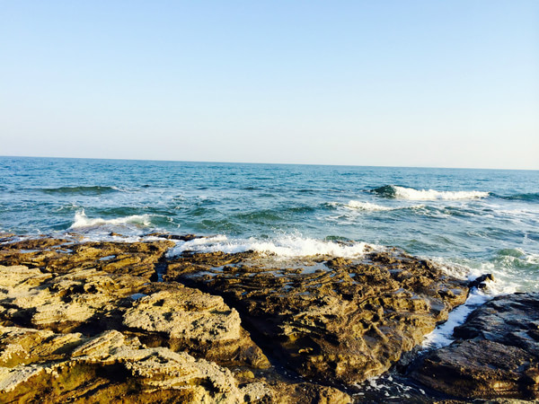 �V�����������������ލu����