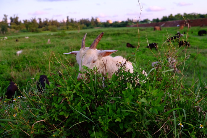 �V�����������������ލu����