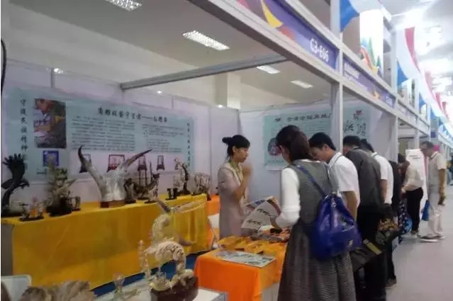 �V�����������磬��������