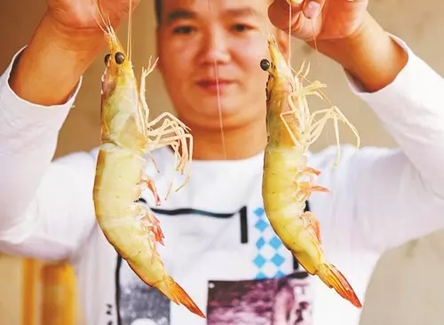 �V�����������������r