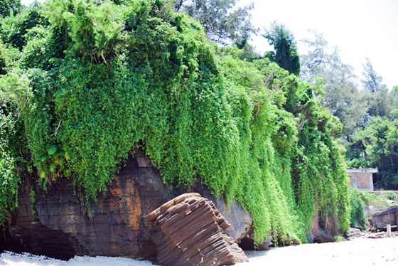 �V���������������ό������ލu����