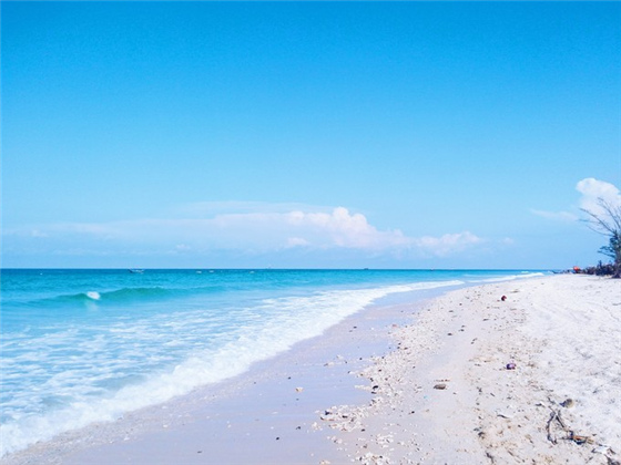 �V���������������ό������ލu����